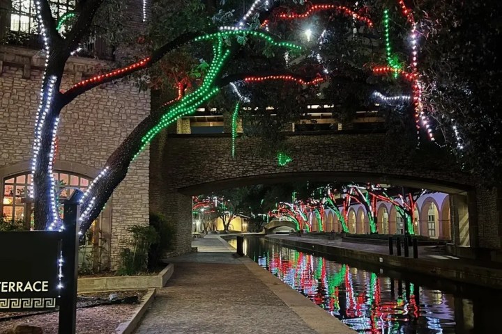 Night view of a canal with trees lit in red, white, and green lights.